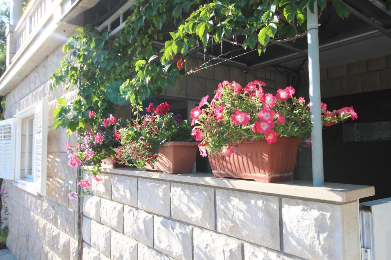 Apartment Ružica Zrnovo Exteriér fotografie